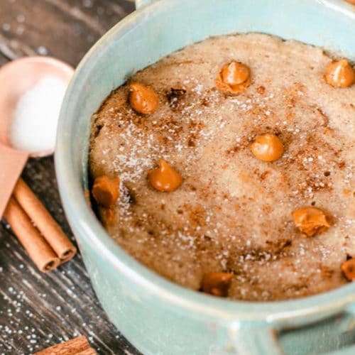 Snickerdoodle Mug Cake! BEST Snickerdoodle Cake In A Mug Recipe – Quick & Easy 2 Minute Microwave Idea – Breakfast – Snacks – Desserts – Treats