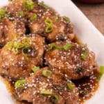 Easy Teriyaki Chicken Thighs – Best Teriyaki Chicken Thighs Recipe – Dinner - Lunch - Appetizers – Party Food – Quick – Simple