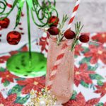 Alcoholic Drinks – BEST Vodka Christmas Spritzer Recipe – Easy and Simple