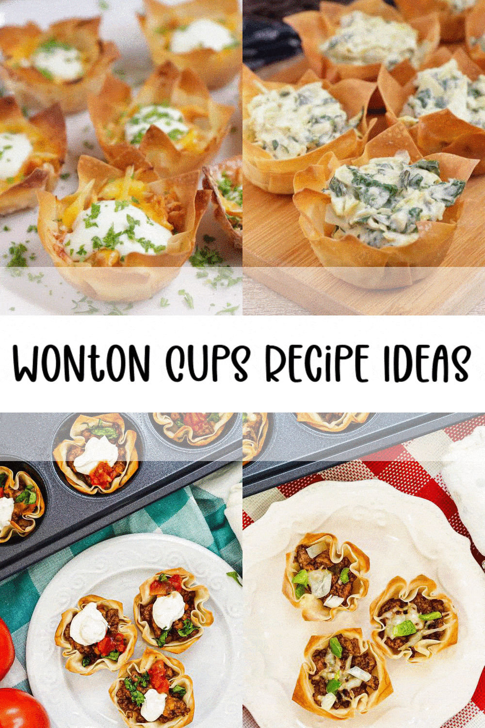 Wonton Cups Recipe Ideas